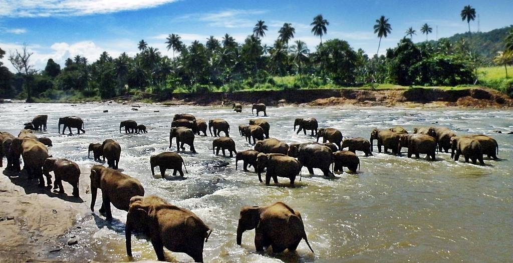 3D Beach Art | Meghna