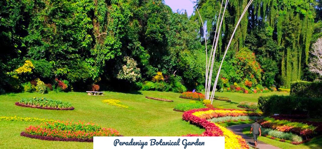 3D Beach Art | Meghna