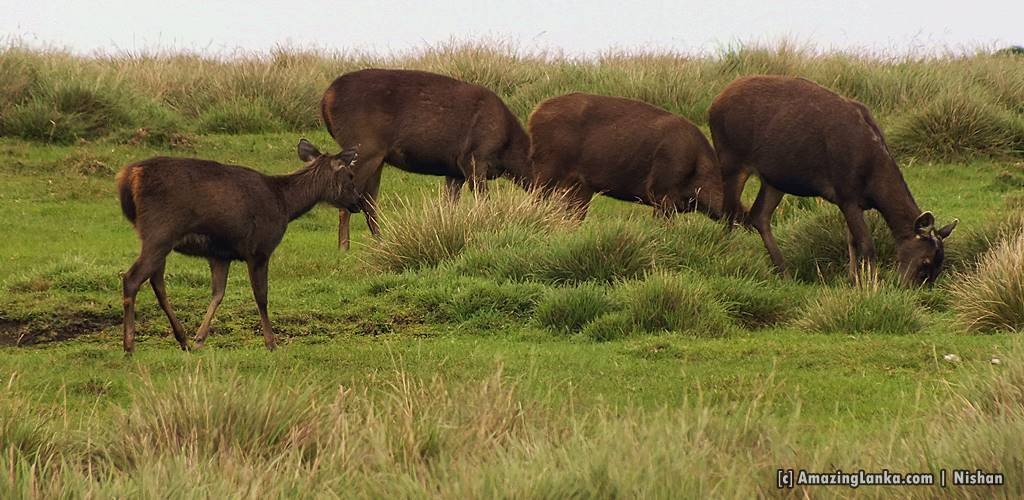 3D Beach Art | Meghna