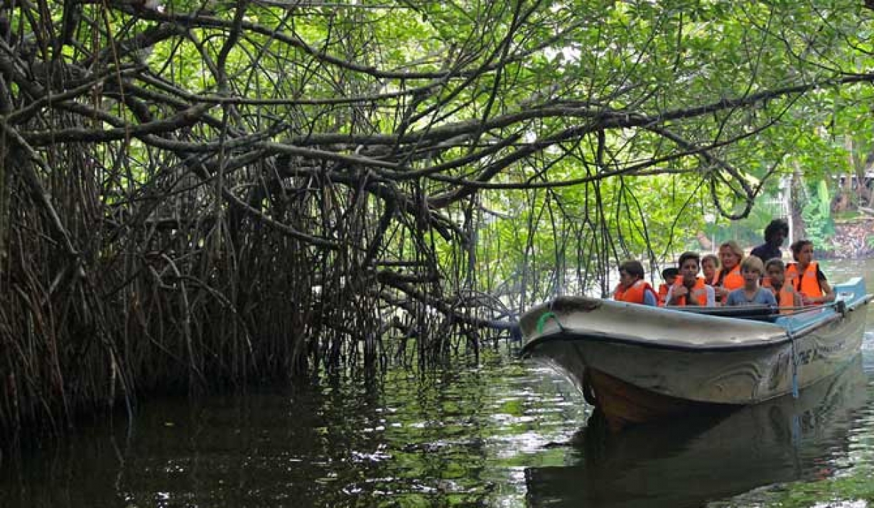3D Beach Art | Meghna
