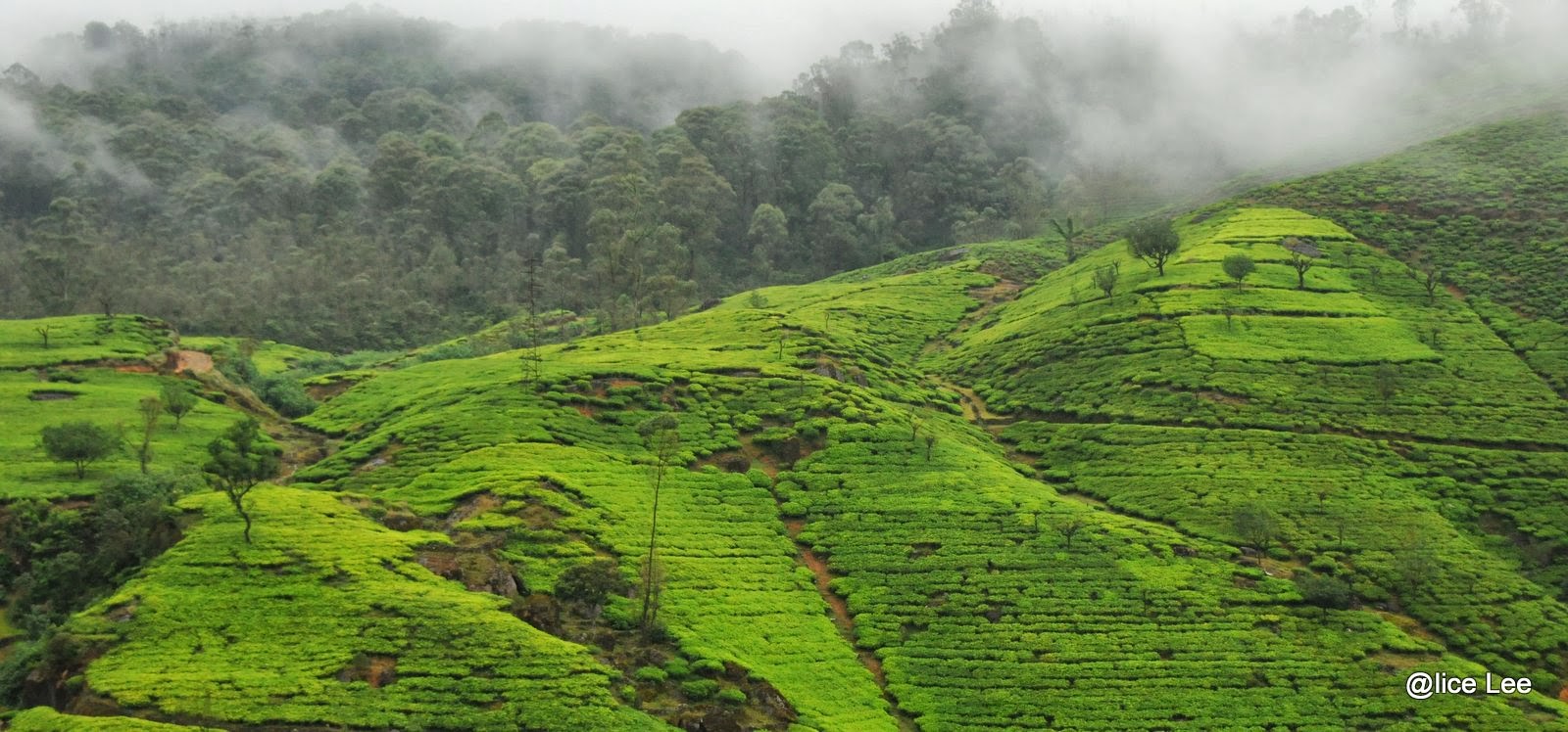 3D Beach Art | Meghna