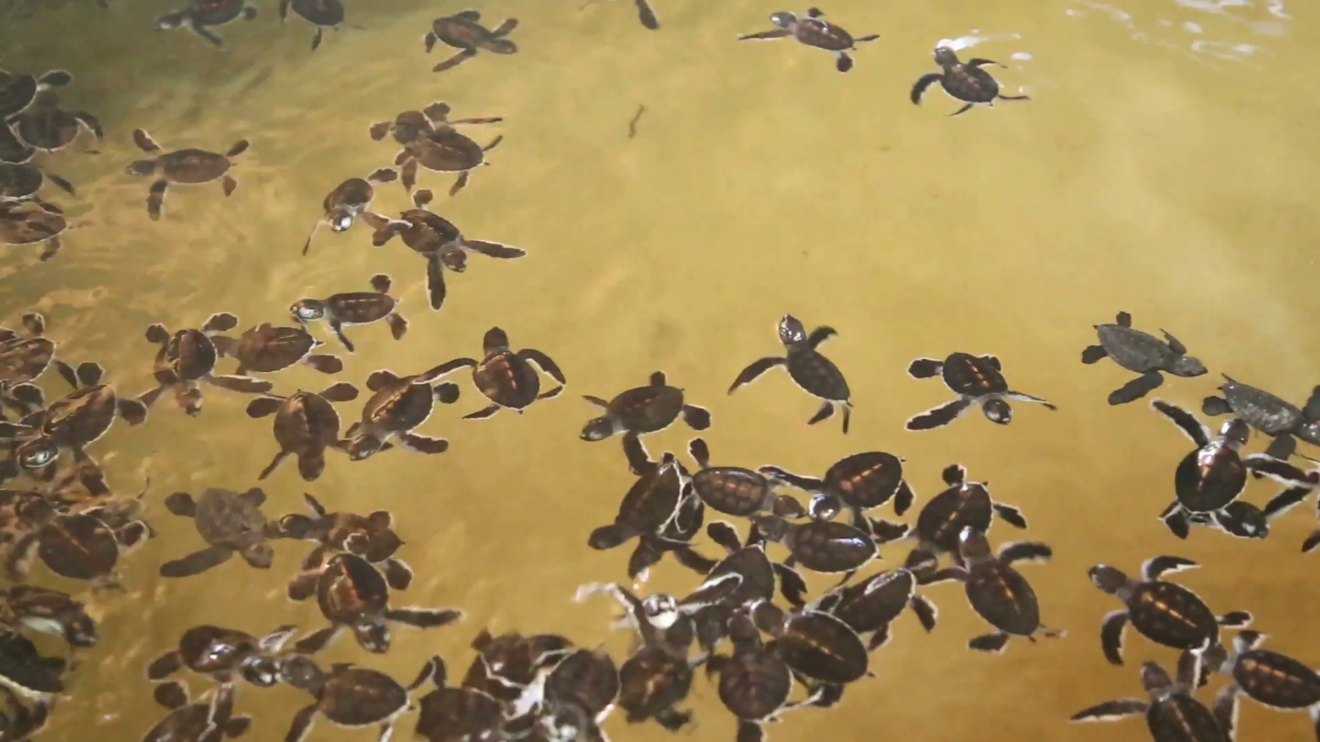 3D Beach Art | Meghna