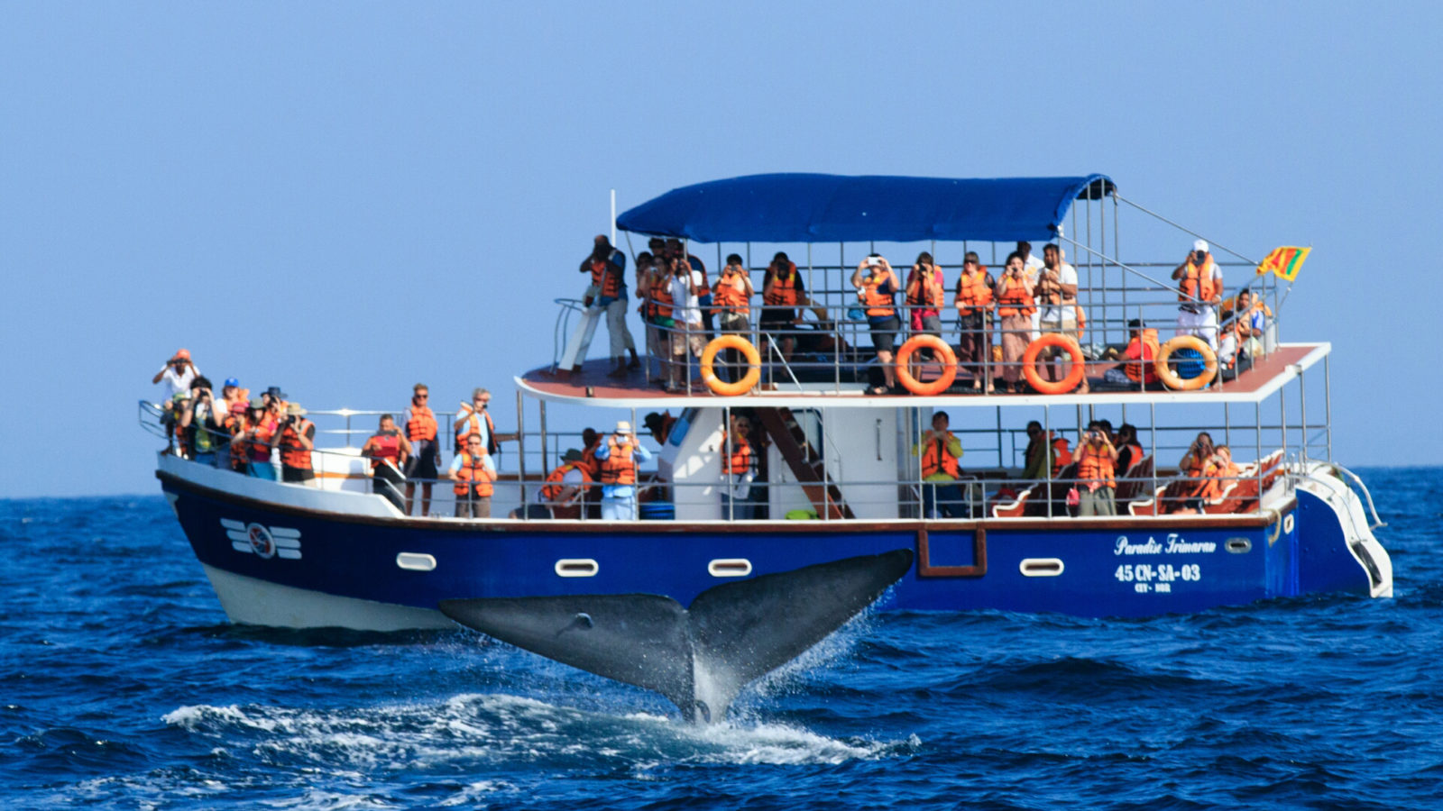 3D Beach Art | Meghna